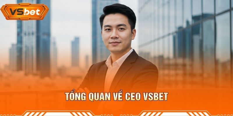 Tổng Quan Về CEO VSBET